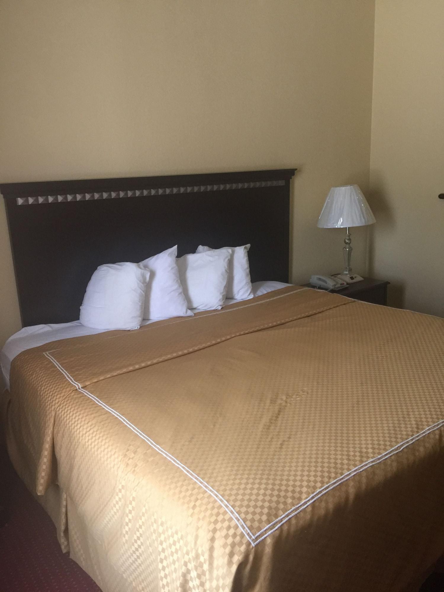לארדו Comfort Suites מראה חיצוני תמונה